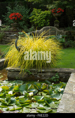 Una bella, privato tradizionale, paesaggistico, country Garden, West Yorkshire, Inghilterra, GB, Regno Unito - laghetto ornamentale con ninfee, heron ed erbe. Foto Stock