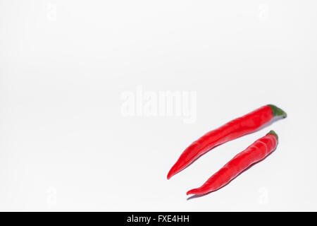 Studio fotografico di due rosso peperoncino di caienna isolato su uno sfondo bianco. Perfetto esemplari in questo cibo immagine di fotografia Foto Stock