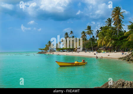 Spiaggia tropicale a Pigeon Point, Tobago Foto Stock