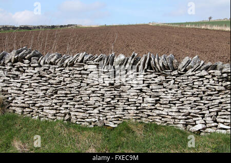 Derbyshire muretti a secco Foto Stock