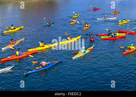 Gruppo di canoa a canal Yokohama Giappone Foto Stock