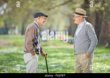 Due vecchi amici avente una conversazione in un parco in una bella giornata di primavera Foto Stock