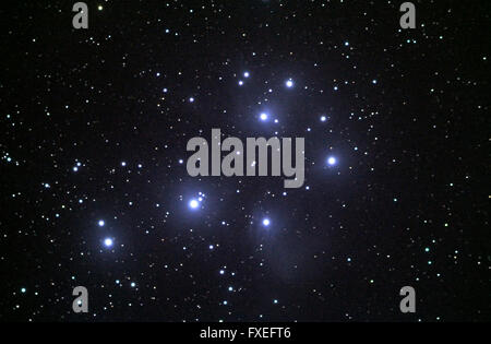 Le Pleiadi star cluster Foto Stock