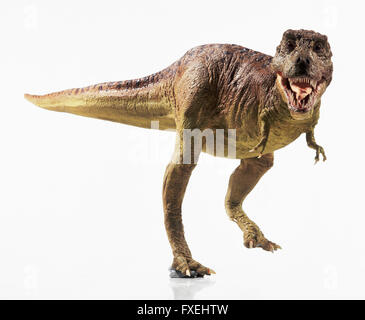 Vista aerea del Tyrannosaurus rex modello. Foto Stock