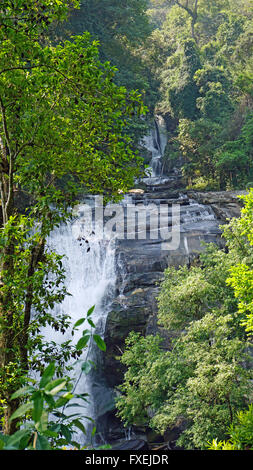 Mae ya cascata in Doi Inthanon natiopnal park Foto Stock