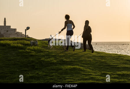 Le donne con i cani in Tel Aviv city, Israele. La città vecchia di Jaffa con il campanile della chiesa francescana di San Pietro a sinistra Foto Stock