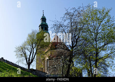 Mullner Kirche Chiesa, Salisburgo, l'Austria, l'Europa. Foto Stock