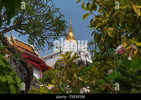 Wat Prayoon Turtle Mountain Bangkok in Thailandia Foto Stock