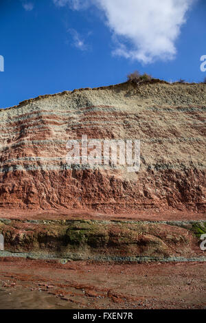 Garden Cliff, Westbury on severn, Gloucestershire, Inghilterra. Foto Stock