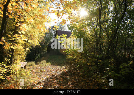 Vecchio Cimitero Ebraico Liten in Repubblica Ceca Foto Stock