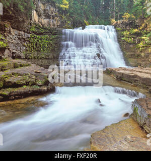 Ouzel cade sulla forcella del sud ovest della forcella fiume Gallatin vicino Big Sky, montana Foto Stock