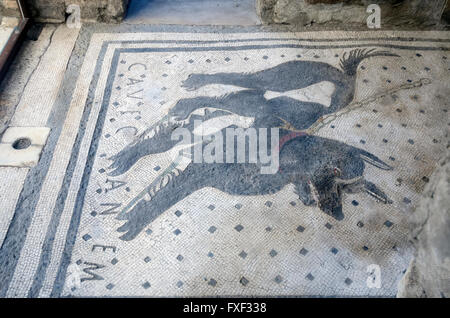Cave canem 'attenzione del cane' pavimento a mosaico famosa frase latina, Pompei Italia Foto Stock
