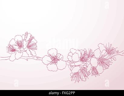 Fioritura albero linea tecnica del disegno a mano. molla sfondo elegante di rosa fiori di susina vettore di contorno Illustrazione Vettoriale