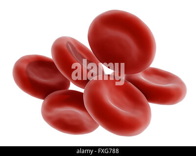 Cellule di sangue rosso isolato su sfondo bianco Foto Stock