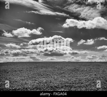 Foto in bianco e nero Grassy Slope sotto il cielo con soffici nuvole Foto Stock