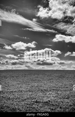 Foto in bianco e nero Grassy Slope sotto il cielo con soffici nuvole Foto Stock