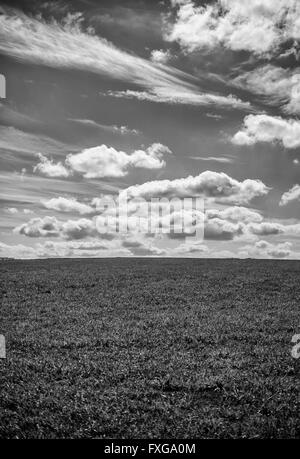 Foto in bianco e nero Grassy Slope sotto il cielo con soffici nuvole Foto Stock