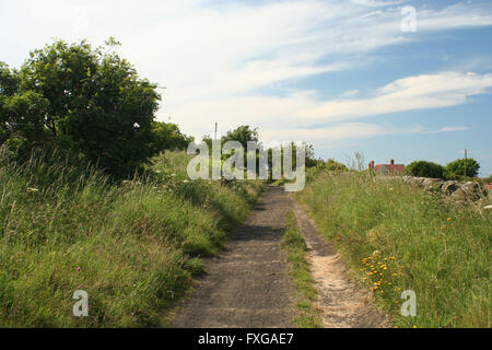 Ravenscar Foto Stock