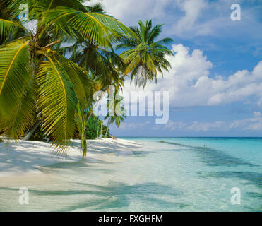 Spiaggia tropicale a Nakatcha da Fushi isola delle Maldive Foto Stock