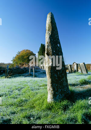 Una C5a colonna in pietra di St David's sagrato, Bridell, Pembrokeshire, con iscrizione commemorativa in ogham (ogam) per Nettasagrus sul bordo sinistro. Foto Stock