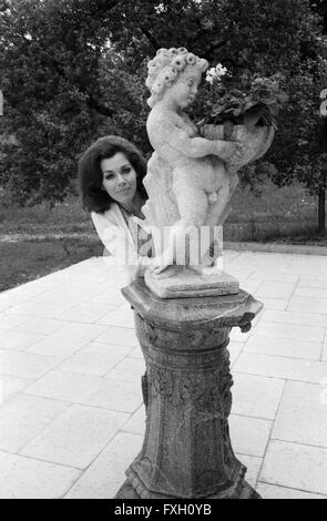 Deutsche Schauspielerin, Ärztin und Autorin Marianne Koch, Deutschland 1970er Jahre. Attrice tedesca, medico e autore Marianne Koch, Germania degli anni settanta. 24x36swNeg479 Foto Stock