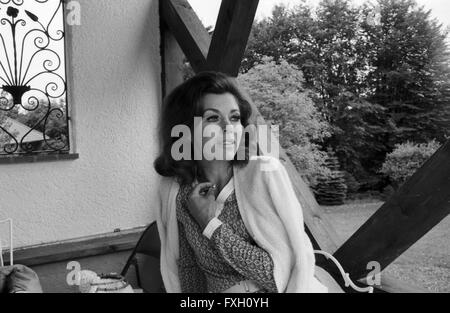 Deutsche Schauspielerin, Ärztin und Autorin Marianne Koch, Deutschland 1970er Jahre. Attrice tedesca, medico e autore Marianne Koch, Germania degli anni settanta. 24x36swNeg479 Foto Stock