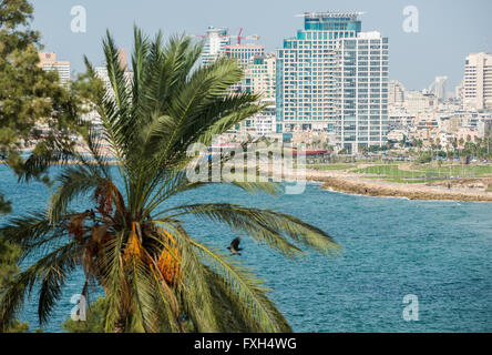 Mare una torre vista dal parco Abrasha in Jaffa, Tel Aviv, Israele Foto Stock