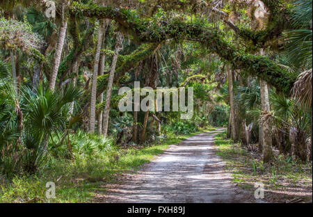 Ranch House Strada in Myakka River State Park nella contea di Sarasota ion Sarasota Florida Foto Stock