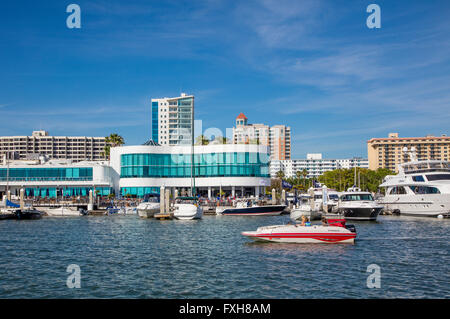 Marina martinetti e la città di Sarasota da Bayfront o Island Park sulla costa del Golfo della Florida Foto Stock