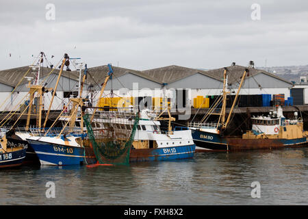 Brixham flotta di pescherecci con reti da traino Foto Stock