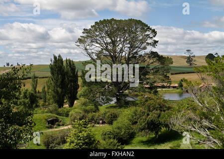 La Shire. Hobbiton movie set in Nuova Zelanda Foto Stock