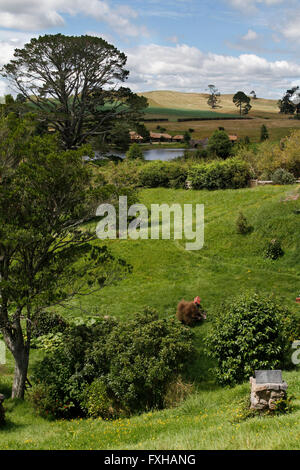 La Shire. Hobbiton movie set in Nuova Zelanda Foto Stock