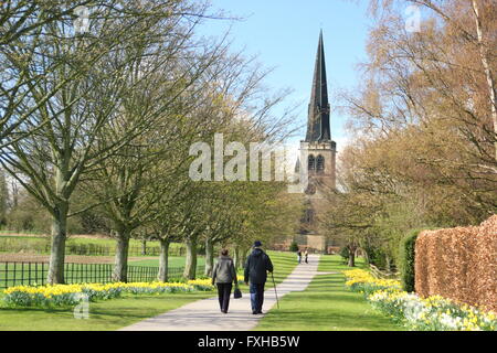 Il daffodil a piedi dalla chiesa di Wentworth (nell'immagine) in Wentworth; un grazioso villaggio immobiliare a Rotherham, South Yorkshire England Regno Unito Foto Stock