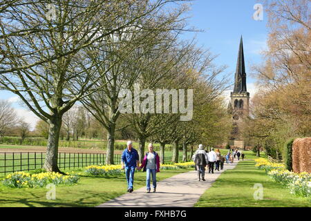 Il daffodil a piedi dalla chiesa di Wentworth (nell'immagine) in Wentworth; un grazioso villaggio immobiliare a Rotherham, South Yorkshire England Regno Unito Foto Stock