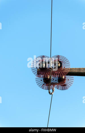 Isolatori in un palo di una linea di trasmissione di potenza Foto Stock