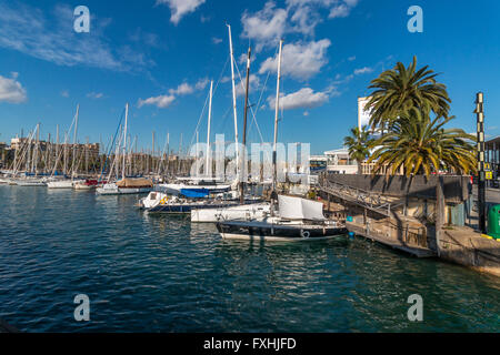 Barche a vela nel Port Vell marina di Barcellona, in Catalogna, Spagna. Foto Stock