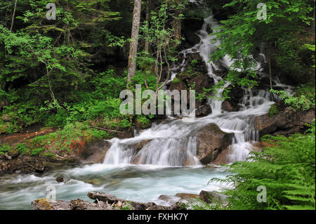 Cascata vicino al Pont d'Espagne nella Hautes-Pyrénées vicino a Cauterets, Pirenei, Francia Foto Stock