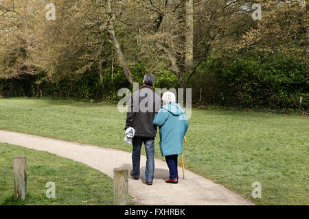 Uomo a spasso con sua madre in pensione. Vista posteriore. Foto Stock