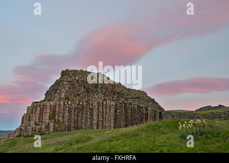 Basalto colonnare affioramento, Dverghamrar Nana (scogliere), vicino a Foss, Islanda Foto Stock