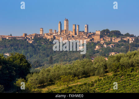 San Gimignano in Provincia di Siena, Toscana, Italia. I campi che circondano la cittadina medievale famosa per le sue torri. Foto Stock