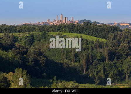 San Gimignano in Provincia di Siena, Toscana, Italia. I campi che circondano la cittadina medievale famosa per le sue torri. Foto Stock