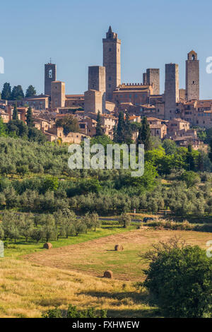 San Gimignano in Provincia di Siena, Toscana, Italia. I campi che circondano la cittadina medievale famosa per le sue torri. Foto Stock