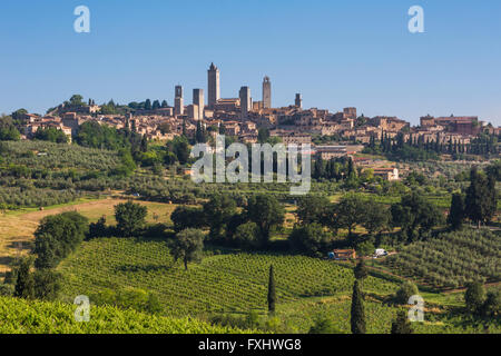 San Gimignano in Provincia di Siena, Toscana, Italia. I campi che circondano la cittadina medievale famosa per le sue torri. Foto Stock