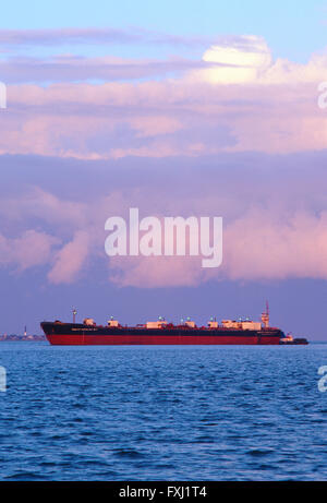 Freighter nel porto di Charleston, Charleston, Carolina del Sud, STATI UNITI D'AMERICA Foto Stock