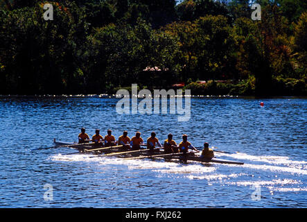 Scullers remare nella testa della regata Schuylkill; Fiume Schuykill; Philadelphia; Pennsyvlania; USA Foto Stock