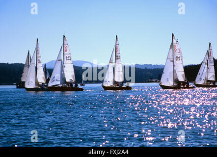 Barche a vela racing in regata vicino a Newport, Oregon, Stati Uniti d'America Foto Stock