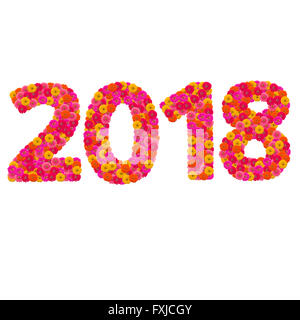 Numeri 2018 realizzato da Zinnias fiori isolati su sfondo bianco Foto Stock