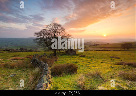 Il vecchio fienile abbandonato a Roach fine Le blatte, Parco Nazionale di Peak District, Staffordshire, England, Regno Unito Foto Stock