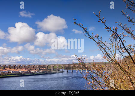 Il viadotto ferroviario, noto come il Royal ponte di confine sul fiume Tweed a Berwick-upon-Tweed, Northumberland, England, Regno Unito Foto Stock