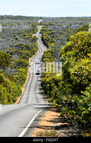 Strada di Cape du Couedic, Kangaroo Island, Sud Australia, SA, Australia Foto Stock